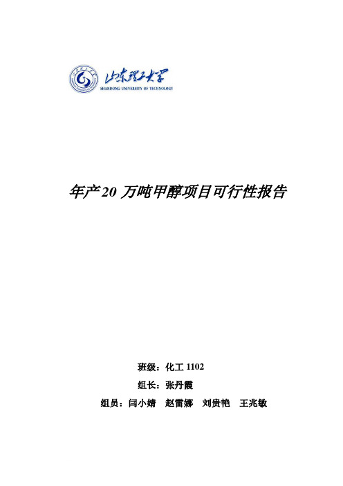 年产20万吨煤制甲醇生产工艺初步设计范文