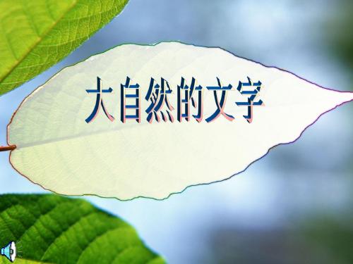 大自然的文字_苏教版小学语文六年级上册课件