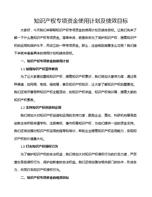 知识产权专项资金使用计划及绩效目标