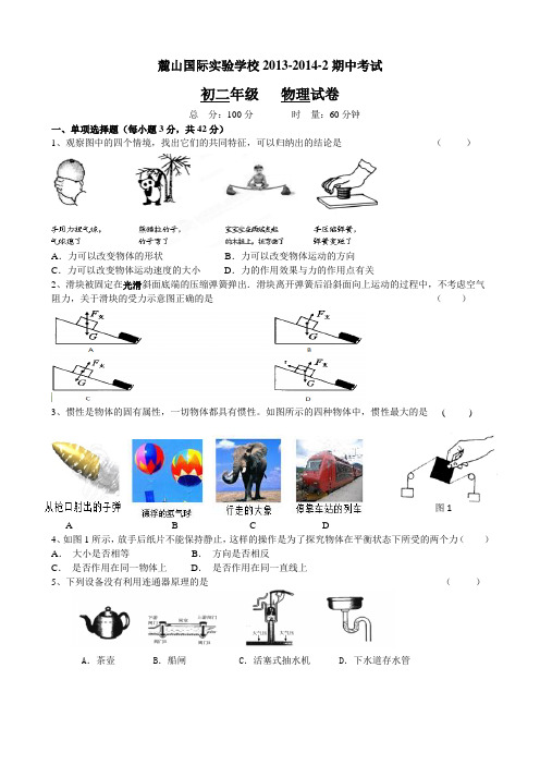 湖南省长沙市麓山国际实验学校八年级下学期期中考试物理试题