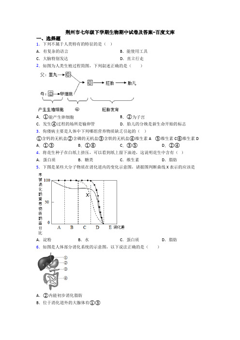 荆州市七年级下学期生物期中试卷及答案-百度文库