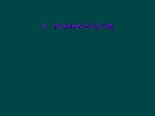 4、微生物的合成代谢