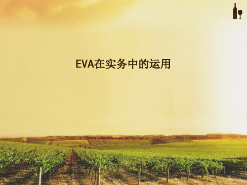 EVA案例分析