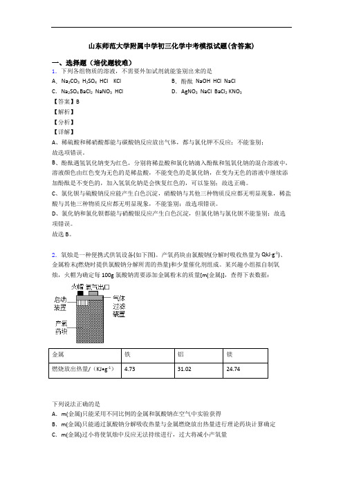 山东师范大学附属中学初三化学中考模拟试题(含答案)