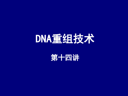 DNA重组和鉴定-基本步骤