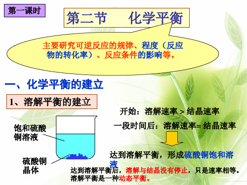 化学平衡及影响条件PPT教学课件