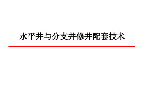 水平井与分支井修井配套技术