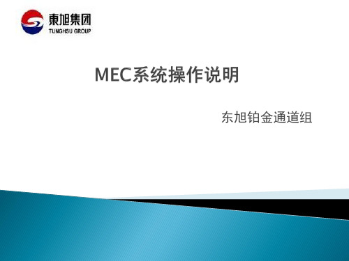 MEC系统操作说明