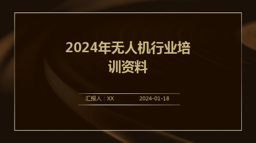 2024年无人机行业培训资料