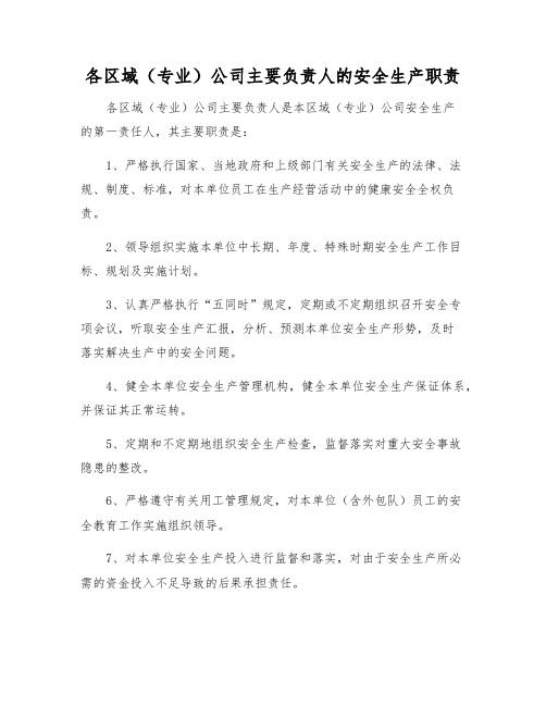 各区域(专业)公司主要负责人的安全生产职责