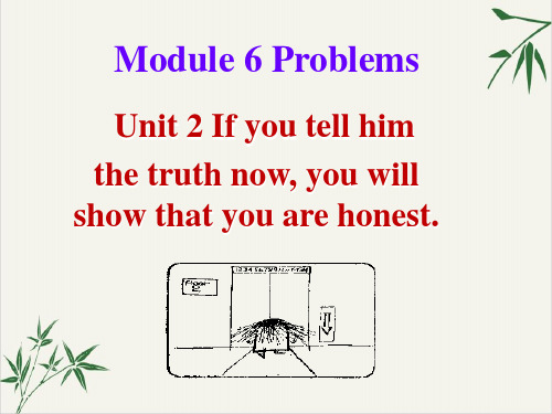 外研版英语九上册课件：Module6Unit213张