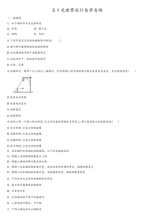 3.1光世界巡行  练习 2021-2022学年沪粤版物理八年级上册