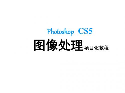 Photoshop  CS5  图像处理项目化教程-PPT课件