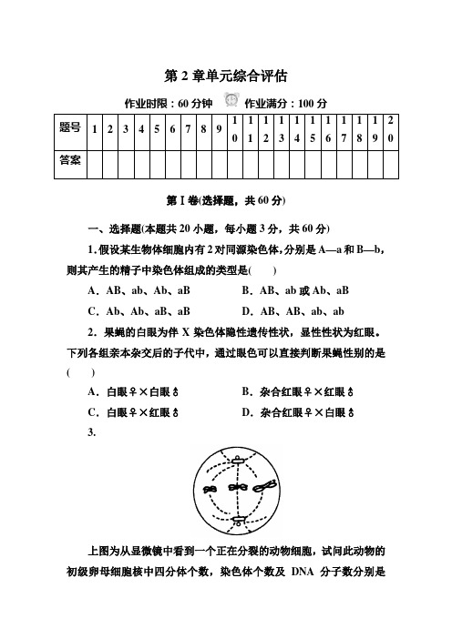 2014-2015学年高一生物人教版必修二 第2章单元综合评估测试