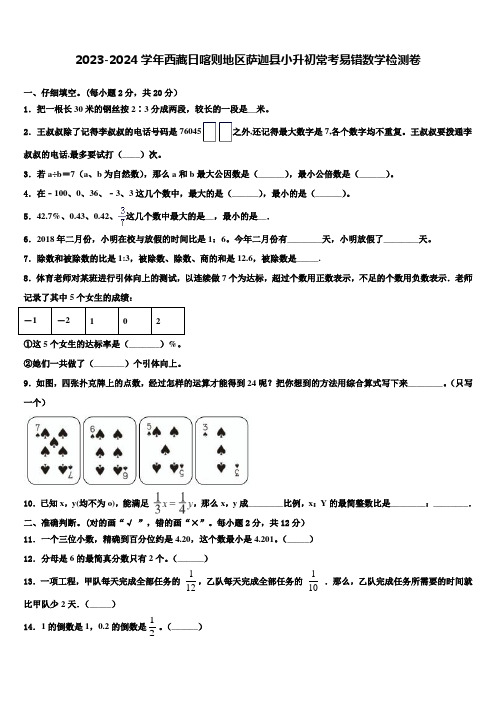 2023-2024学年西藏日喀则地区萨迦县小升初常考易错数学检测卷含解析