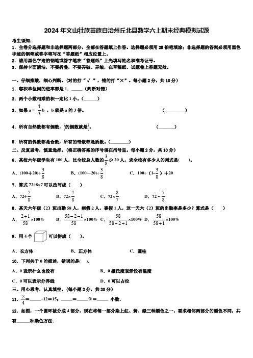 2024年文山壮族苗族自治州丘北县数学六上期末经典模拟试题含解析