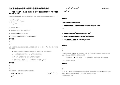 北京东城综合中学高三化学上学期期末试卷含解析