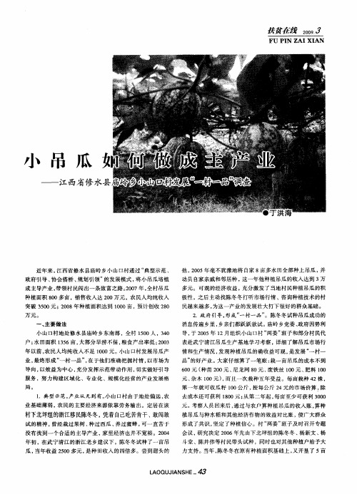 小吊瓜如何做成主产业——江西省修水县庙岭乡小山口村发展“一村一品”调查