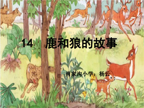 部编六年级上人教《14 鹿和狼的故事》杨云PPT课件 一等奖新名师优质课获奖比赛公开免费下载