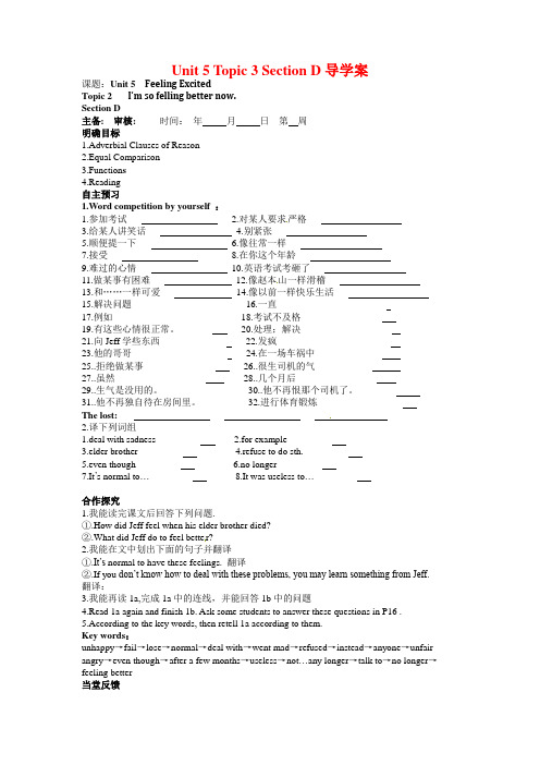 新仁爱版八年级英语下册Unit 5 Topic 3 Section D导学案