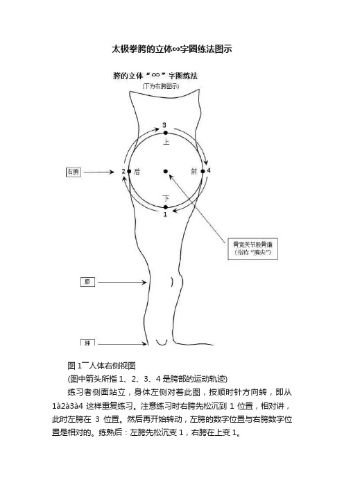 太极拳胯的立体∞字圈练法图示