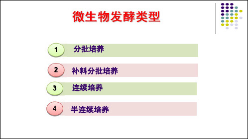 14.发酵类型