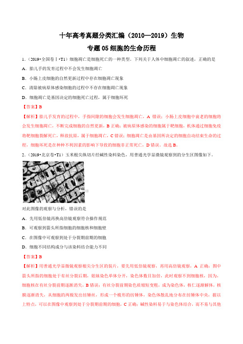 (2010-2019) 十年高考生物真题分类汇编专题05 细胞的生命历程 Word版无答案原卷版