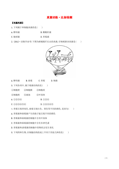 八年级生物上册 5.4.3 真菌达标测试(含解析)(新版)新人教版