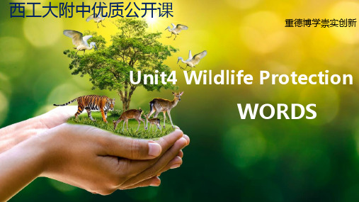 高中英语 人教版新课标 必修二 Unit4 Wildlife Protection 单词精讲课件