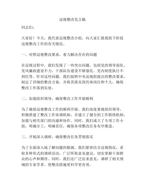 巡视整改发言稿