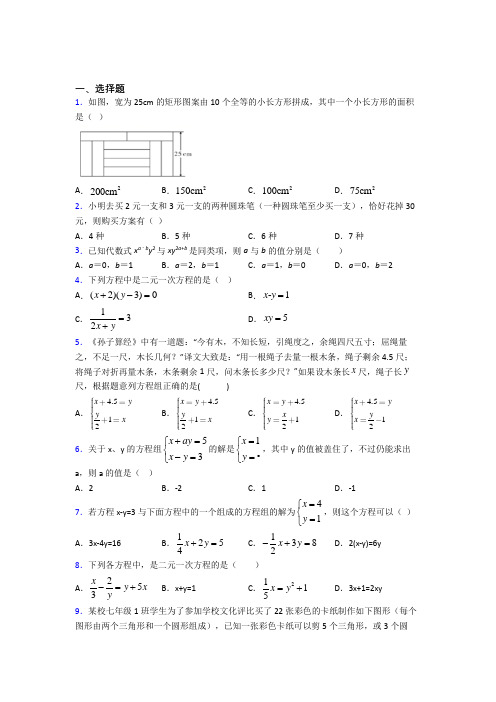 深圳宝安区育才学校七年级数学下册第四单元《二元一次方程组》测试卷(含答案解析)