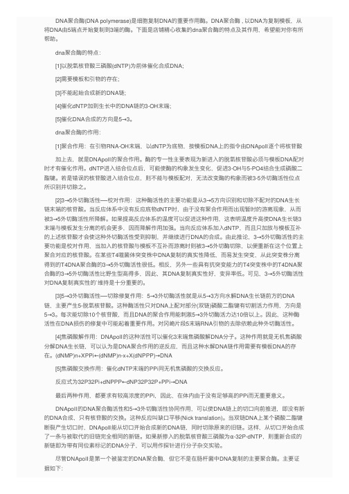 dna聚合酶的特点及其作用