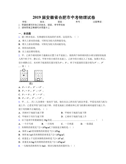 最新2019届安徽省合肥市中考物理试卷及解析