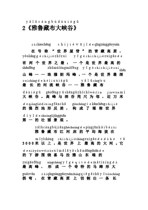 人教版四年级语文拼音课文2雅鲁藏布大峡谷