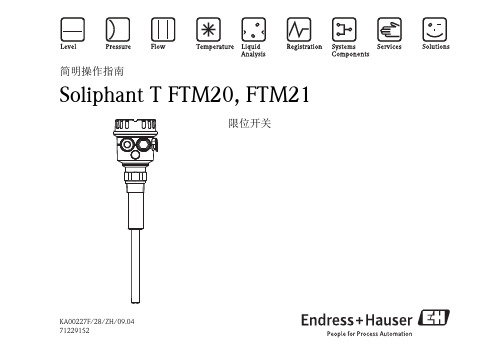 E+H Soliphant T FTM20 FTM21 限位开关简明操作指南