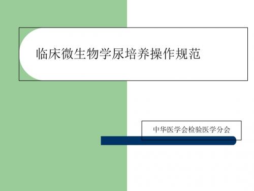 临床微生物学尿培养操作规范 PPT课件-PPT精选文档