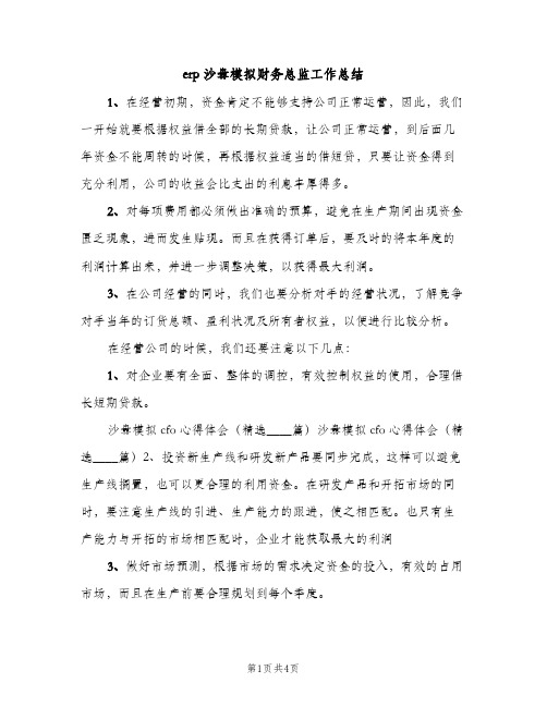 erp沙盘模拟财务总监工作总结（2篇）