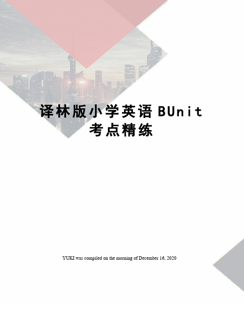 译林版小学英语BUnit考点精练