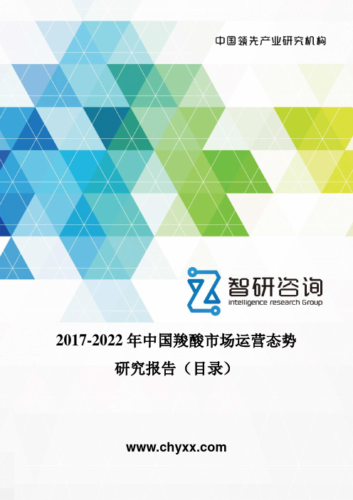 2017-2022年中国羧酸市场运营态势研究报告(目录)