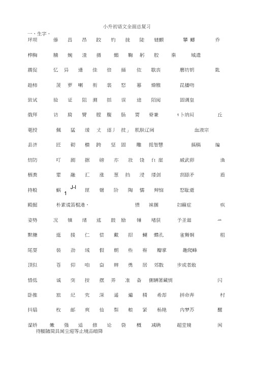 小升初语文全面总复习.doc