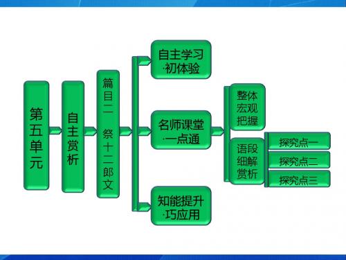 高中语文第五单元  自主赏析  篇目二  祭十二郎文