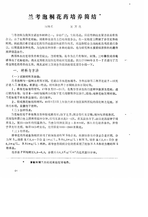 兰考泡桐花药培养简结