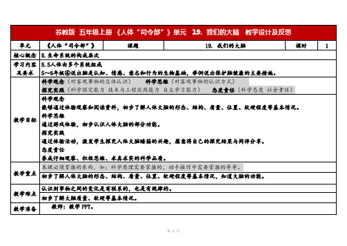 2023秋苏教版五年级科学上册5-19《我们的大脑》(表格式教案及反思)