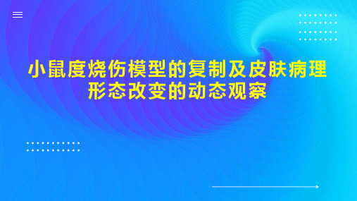 小鼠度烧伤模型的复制及皮肤病理形态改变的动态观察