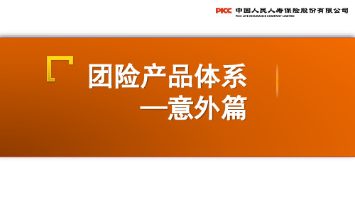 个险团险渠道新人岗前培训之团险产品体系之意外篇(2017版)