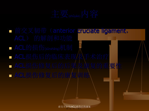 前交叉韧带ACL损伤后的康复课件