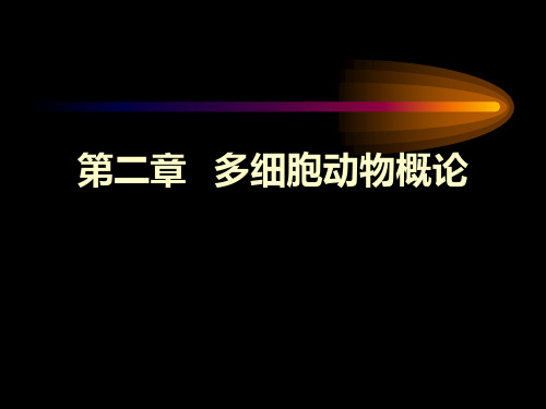 多细胞动物概论