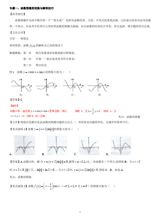 高中数学专项解题模板：专题1-函数图像   解析