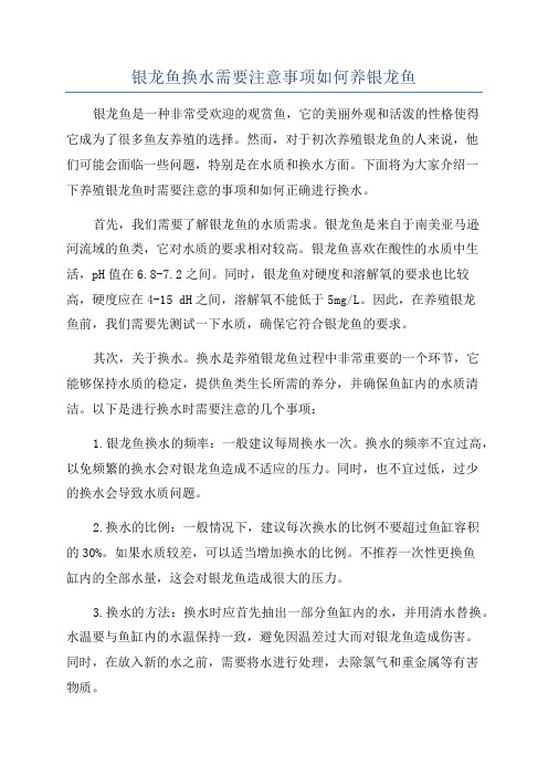 银龙鱼换水需要注意事项如何养银龙鱼