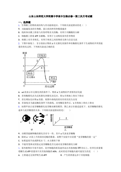 山东山东师范大学附属中学高中生物必修一第三次月考试题